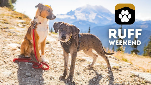 Juli di Crystal Mountain – Crystal Mountain