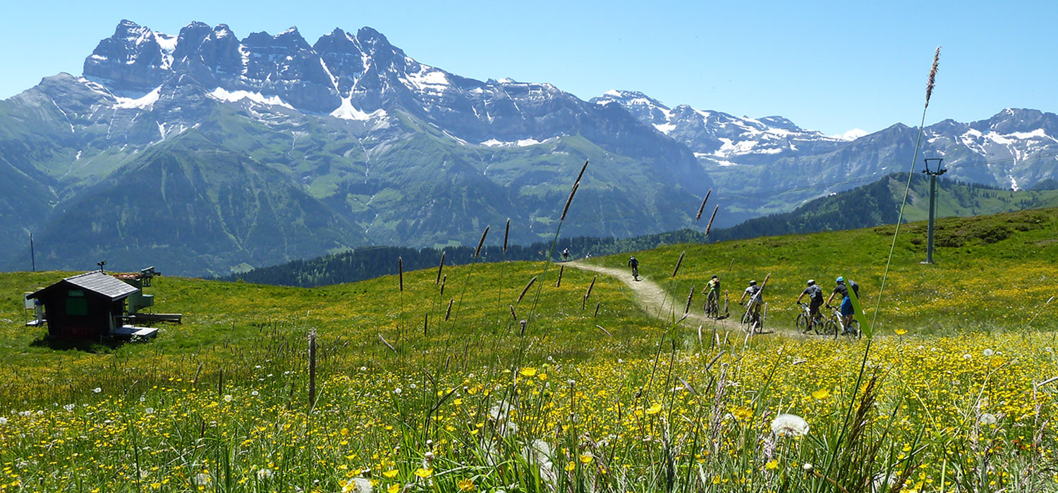 Morzine in Summer: The Ultimate Guide